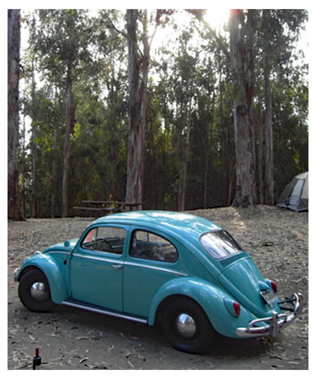 VW_Bug_03a.jpg