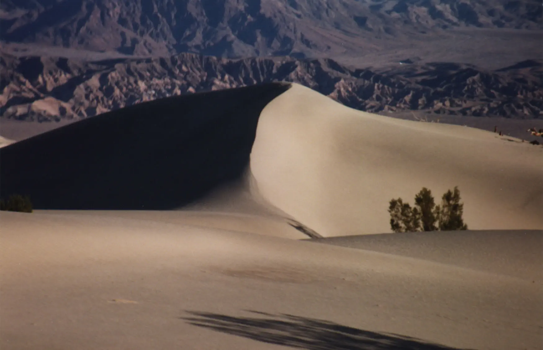 Death Valley Sand Dunes