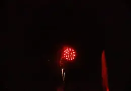 4th Of July 2025 041