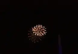 4th Of July 2025 043