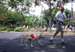 4th Of July Parade Concord 2006 029