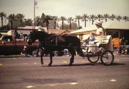 Red Bluff 4th of July 15