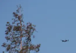 WWII Airplanes Memorial Day May 2015 01