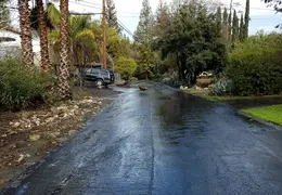 A Rainy Day 20190214 06