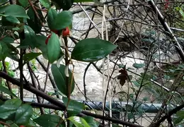 A Rainy Day 20190214 18