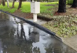 A Rainy Day 20190214 24