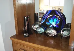 Abalone Shells 002