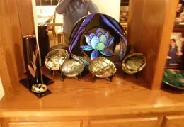 Abalone Shells 006