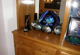 Abalone Shells 007