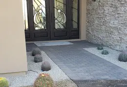 Barrel Cactus For Cheryl 20230608 01