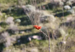 Canon EOS R7 Testing 20260201 03