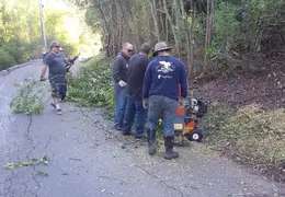 Community Work Project Bush Trimming Fall 2016 05