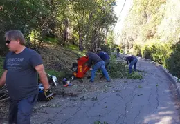 Community Work Project Bush Trimming Fall 2016 07