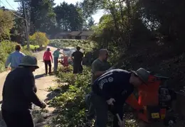 Community Work Project Bush Trimming Fall 2016 09