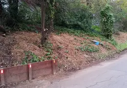 Community Work Project Bush Trimming Fall 2016 12