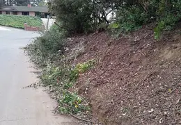 Community Work Project Bush Trimming Fall 2016 15