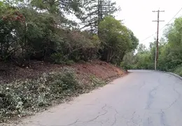Community Work Project Bush Trimming Fall 2016 16