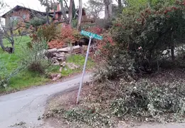 Community Work Project Bush Trimming Fall 2016 17