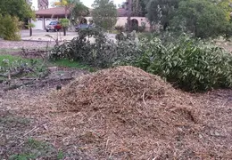 Community Work Project Bush Trimming Fall 2016 22