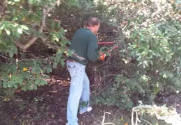 Community Work Project Bush Trimming Fall 2016 25