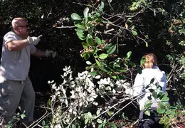 Community Work Project Bush Trimming Fall 2016 26