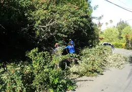 Community Work Project Bush Trimming Fall 2016 28