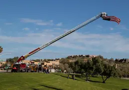 Concours in the Hills 20240218 003