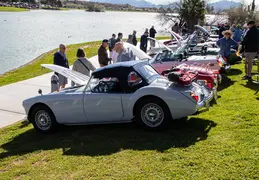 Concours in the Hills 20240218 006