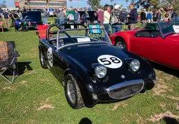 Concours in the Hills 20240218 010