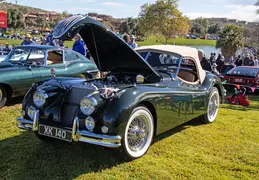 Concours in the Hills 20240218 017