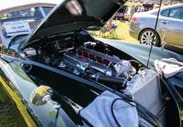 Concours in the Hills 20240218 020