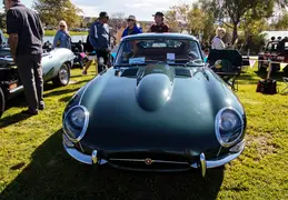 Concours in the Hills 20240218 022