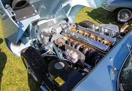 Concours in the Hills 20240218 027