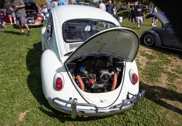 Concours in the Hills 20240218 031