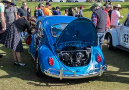 Concours in the Hills 20240218 034