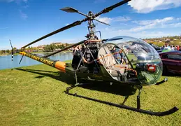 Concours in the Hills 20240218 050
