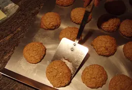 Cookies December 2010 0006