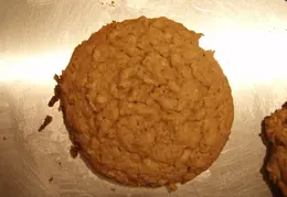 Cookies December 2010 0009
