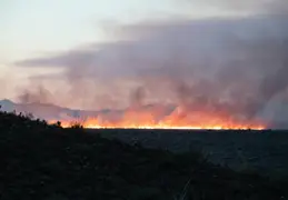 Diamond Fire 20230627 45