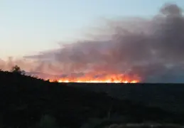 Diamond Fire 20230627 50