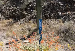 Eagles Nest Walk 20220331 06