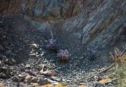 Eagles Nest Walk 20220331 12