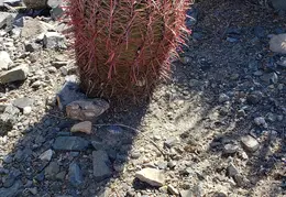 Eagles Nest Walk 20230527 02