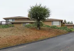 Fall Colors In The Neighborhood 20181126 07