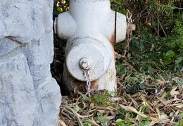 Fire Pumps and Hydrant 29
