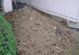 Flood 2006 01