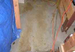 Flood 2006 14