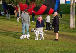 Fountain Hills 50th Anniversary Balloon Event 20240225 052