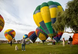 Fountain Hills 50th Anniversary Balloon Event 20240225 064