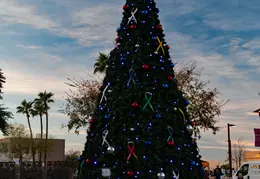 Fountain Hills Stroll In The Glow 20231202 05